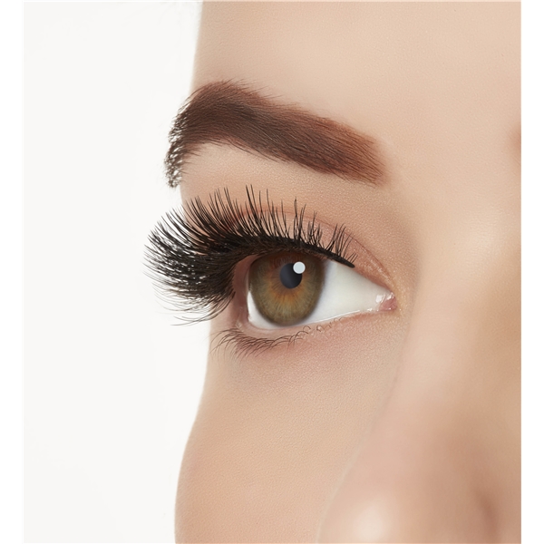 Ardell Aqua Lashes (Picture 6 of 6)