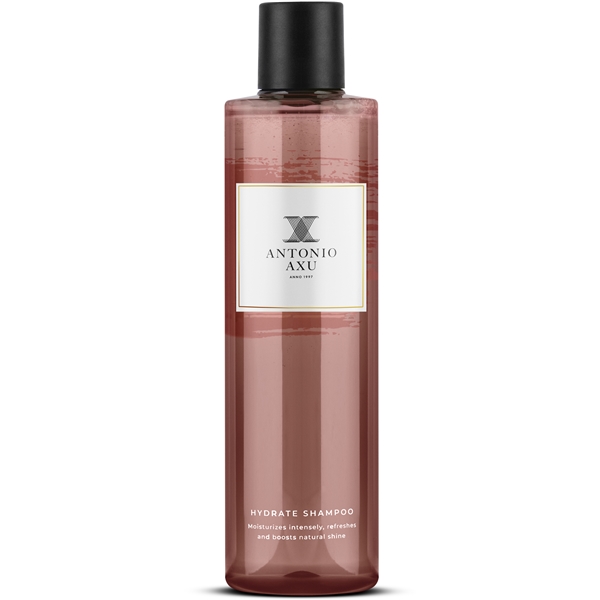 Antonio Axu Hydrate Shampoo