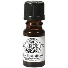 Sea Breeze Fragrance Oil 10 ml