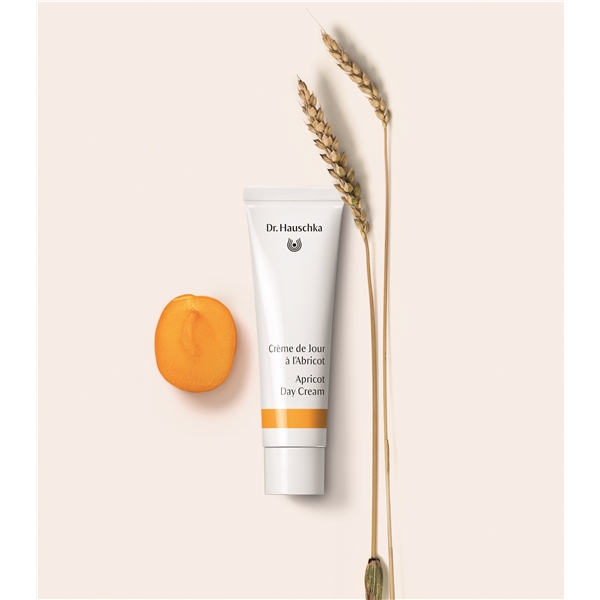Dr Hauschka Apricot Day Cream (Picture 3 of 3)