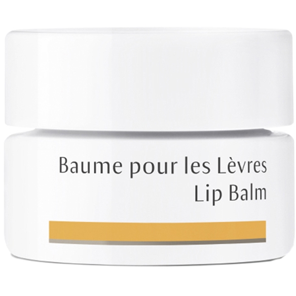 Dr Hauschka Lip Balm (Picture 1 of 2)