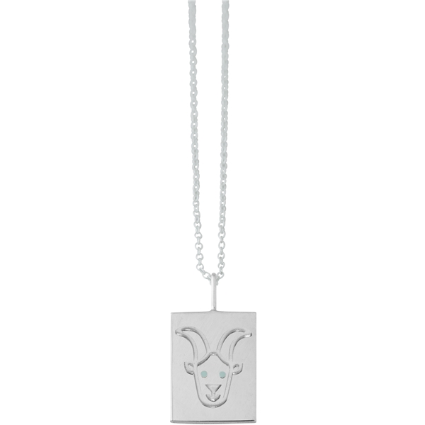 Zodiac by Design Letters - Capricorn (Picture 1 of 3)