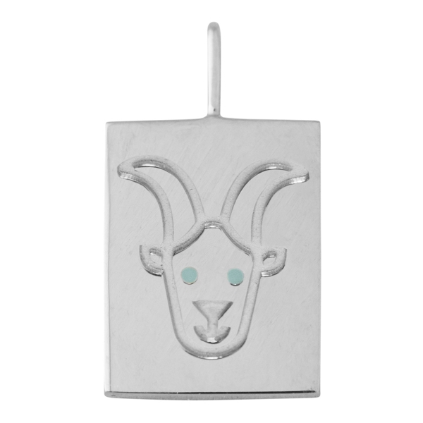 Zodiac by Design Letters - Capricorn (Picture 2 of 3)
