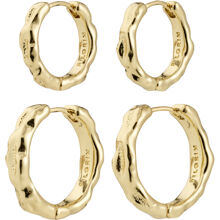 26254-2083 DARBY Earrings 2-In-1 Set 1 set